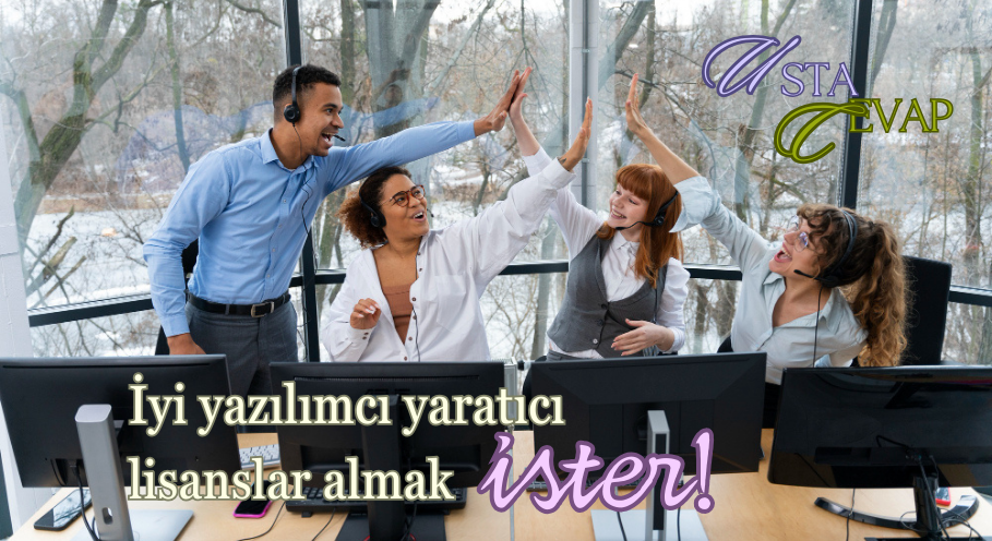 İyi yazılımcı yaratıcı lisanslar almak ister.
